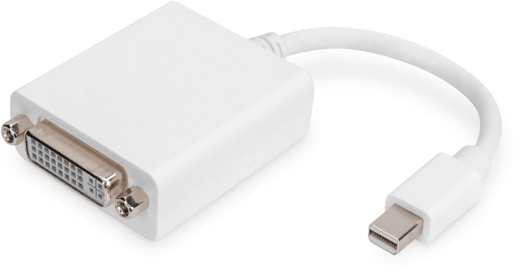 Digitus DisplayPort Adapter Cable - Mini DP to DVI - DB-340406-001-W