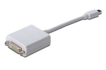Digitus DisplayPort Adapter Cable - Mini DisplayPort Male to DVI Female