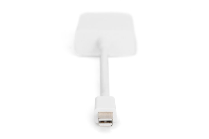 Digitus DisplayPort Adapter Cable - Mini DisplayPort Male to DVI Female — 2