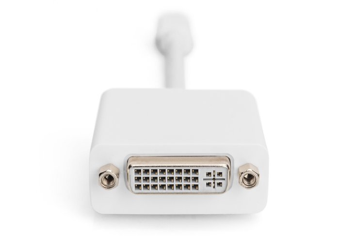 Digitus DisplayPort Adapter Cable - Mini DisplayPort Male to DVI Female — 3