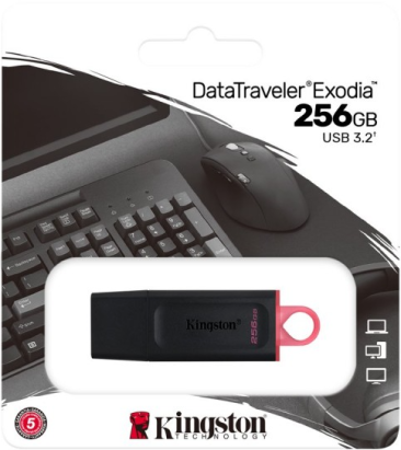 Kingston 256GB USB3.2 Gen1 Data Traveler Exodia Memory Flash Drive -(Black + Pink)