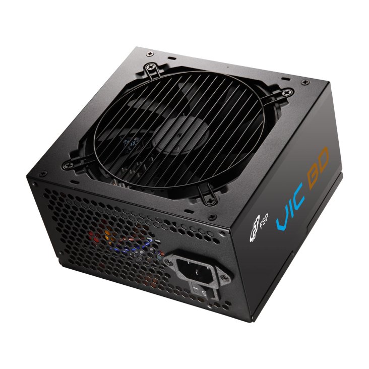 FSP VIC BD 650W PCIe 12V-2x6 power supply- POA6500203 — 2