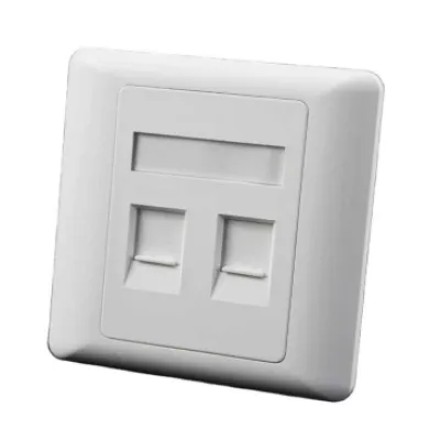 86 Type Double Face Plate — 2
