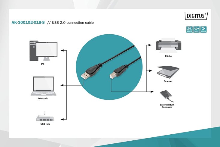 Digitus USB 2.0 Cable - Type A - B, M/M - AK-300102-018-S — 3