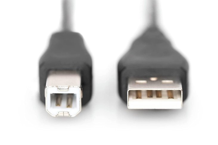 Digitus USB 2.0 Cable - Type A - B, M/M - AK-300102-018-S — 5